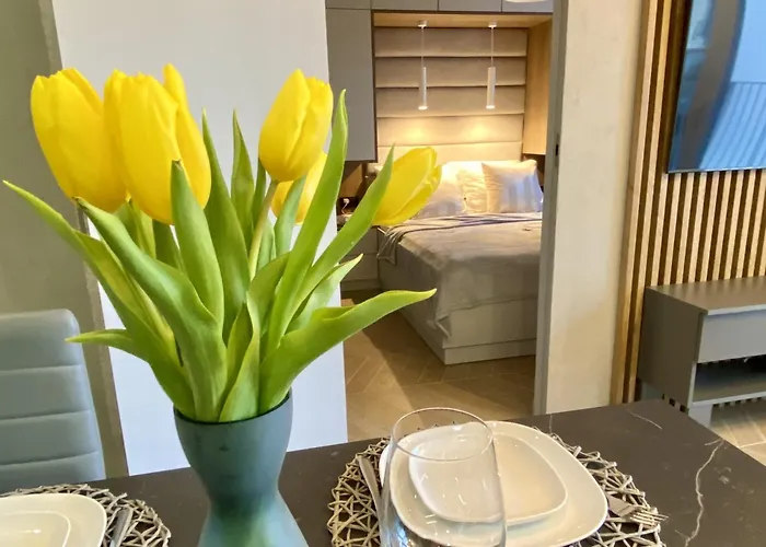 Apartman Grey House + Free Parking *